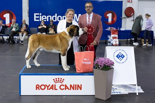 Beste junior lørdag.jpg